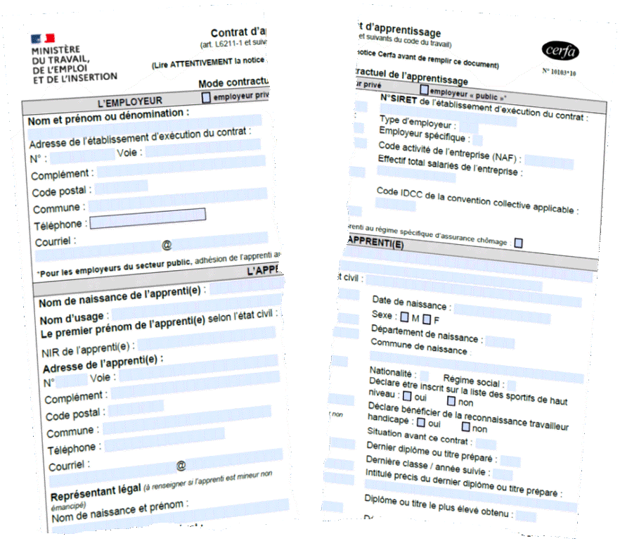 Illustration de contrats d’apprentissage déchirés
