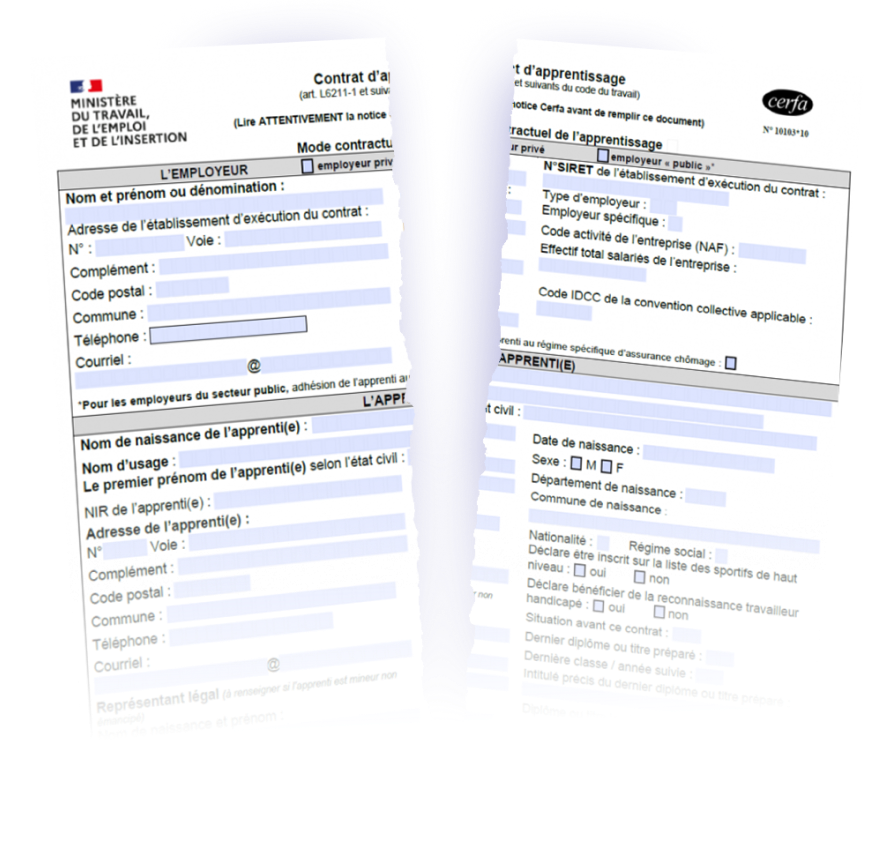 Illustration de deux contrats d’apprentissage déchirés