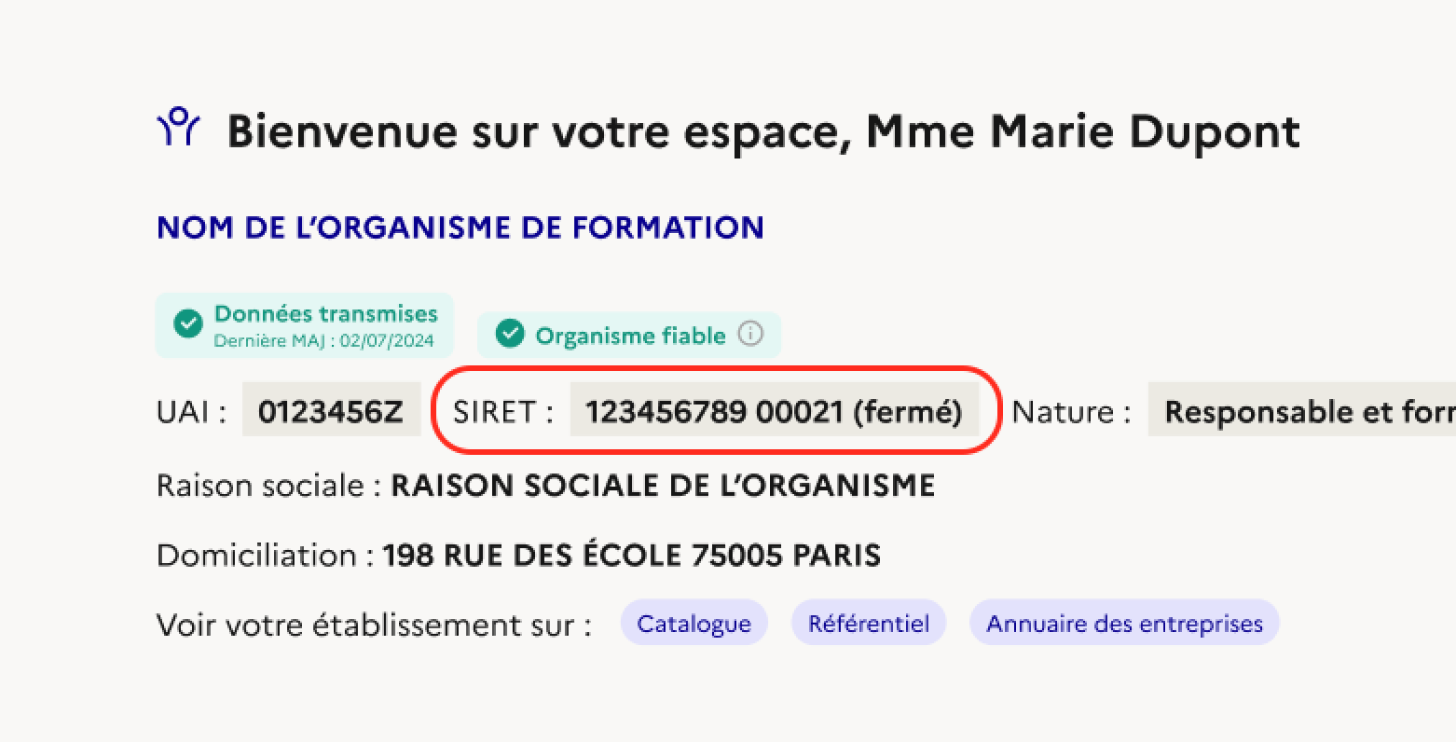 Exemple d'affichage de la donnée Siret